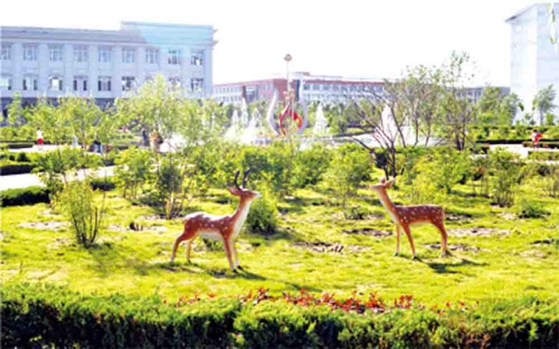 2023年哈尔滨远东理工学院各历史类专业在辽宁招生分数是多少？
