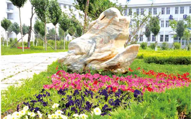 2023年哈尔滨远东理工学院在宁夏录取批次及录取分数参考