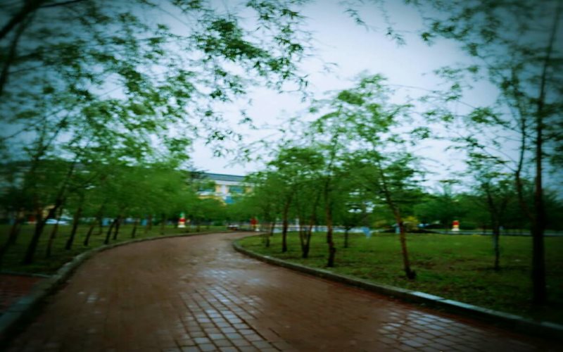 黑龙江民族职业学院宠物养护与驯导专业录取分数线【黑龙江高考文科】