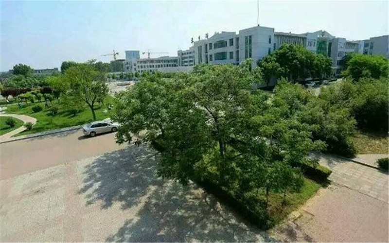河北历史类考生排多少名可以上东营科技职业学院智能互联网络技术（三）专业?