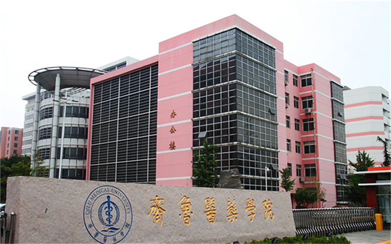 2023年内蒙古考生多少分可以上齐鲁医药学院康复治疗学专业？
