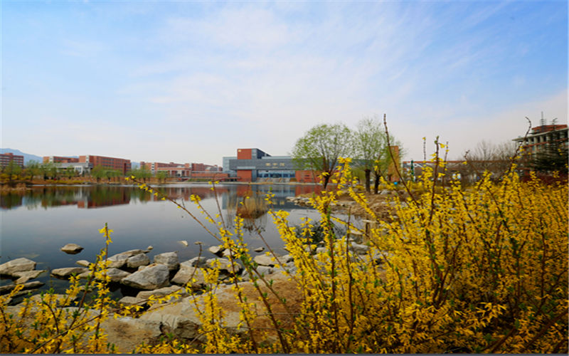 山东综合考生排多少名可以上山东城市建设职业学院建筑设计（中外合作办学）（与韩国三育大学合作）（一）专业?