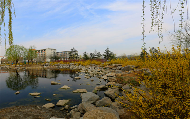 山东综合考生排多少名可以上山东城市建设职业学院建筑动画技术专业?