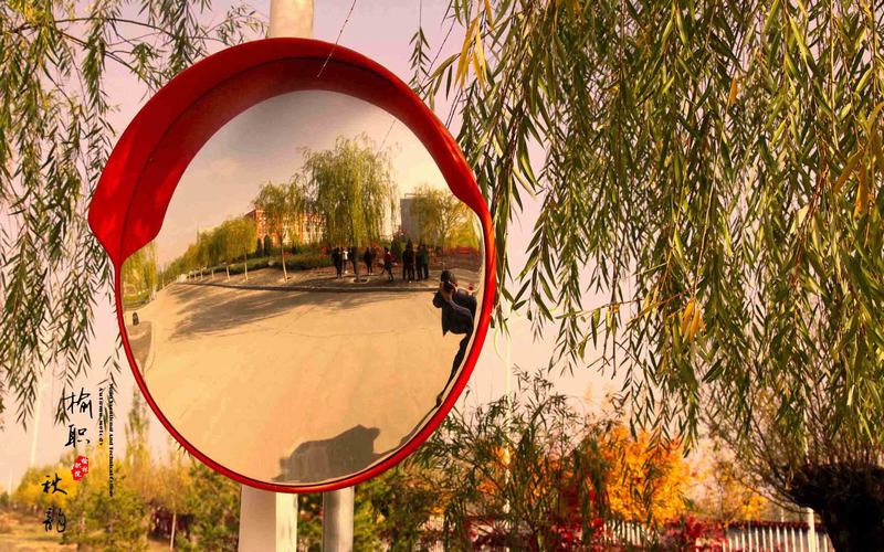 2023年榆林职业技术学院在黑龙江招生专业及招生人数汇总