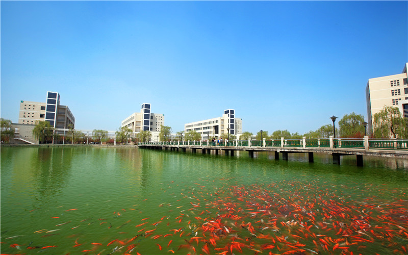 2023年淄博职业学院在安徽招生专业及招生人数汇总
