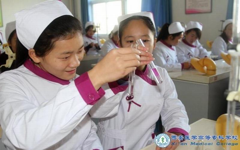2024考生参考：2023西安医学高等专科学校中医养生保健专业在重庆招生录取分数及录取位次