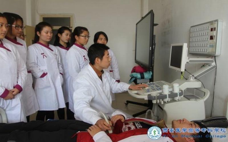 2023年西安医学高等专科学校在甘肃招生专业有哪些？学费是多少？