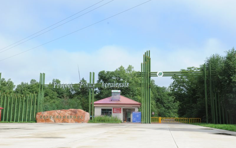 2024考生参考：2023东北林业大学机械设计制造及其自动化专业在山东招生录取分数及录取位次