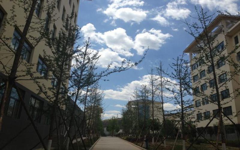 河北历史类考生排多少名可以上延安职业技术学院建筑室内设计专业?
