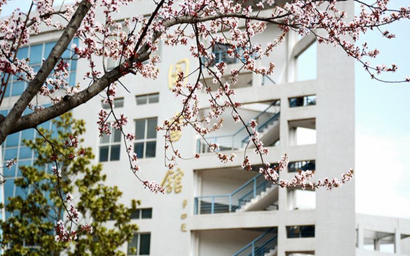 2023年商洛学院在辽宁招生专业及招生人数汇总(2024考生参考)
