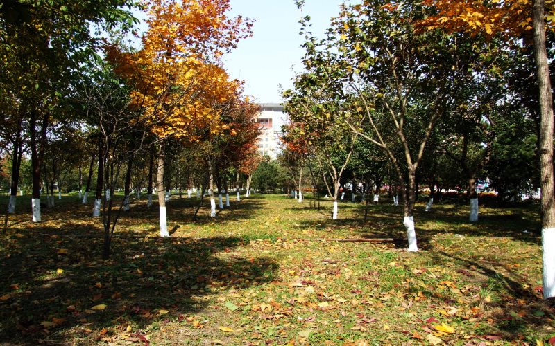 【2022高考参考】黑龙江科技大学2021年辽宁最低录取分数及位次