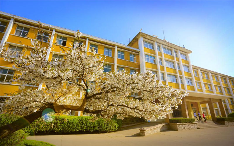 2023年青岛远洋船员职业学院在河南招生专业有哪些？学费是多少？