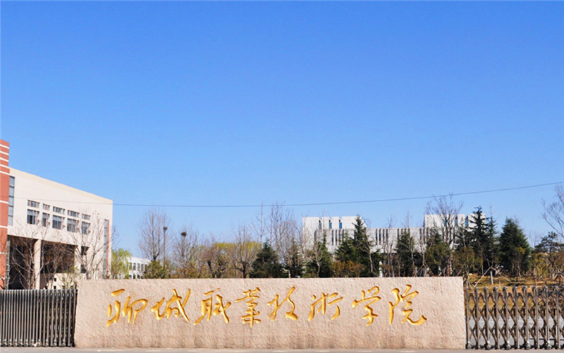 聊城职业技术学院软件技术专业在山东招生录取分数(综合)：355分