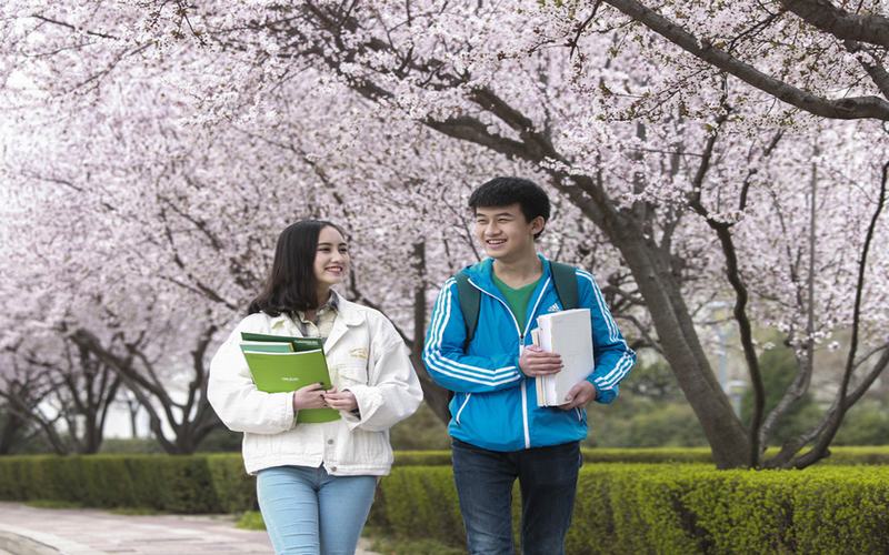 2023年浙江考生多少分可以上西安欧亚学院国际商务专业？