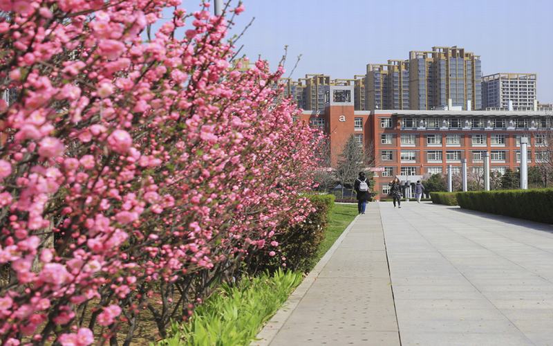 多少分可以上西安欧亚学院？西安欧亚学院2022年在安徽各招生专业录取分数汇总