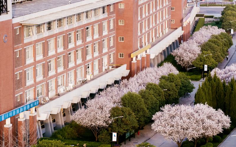 【2023高考参考】西安欧亚学院2022年宁夏招生专业及招生计划一览表