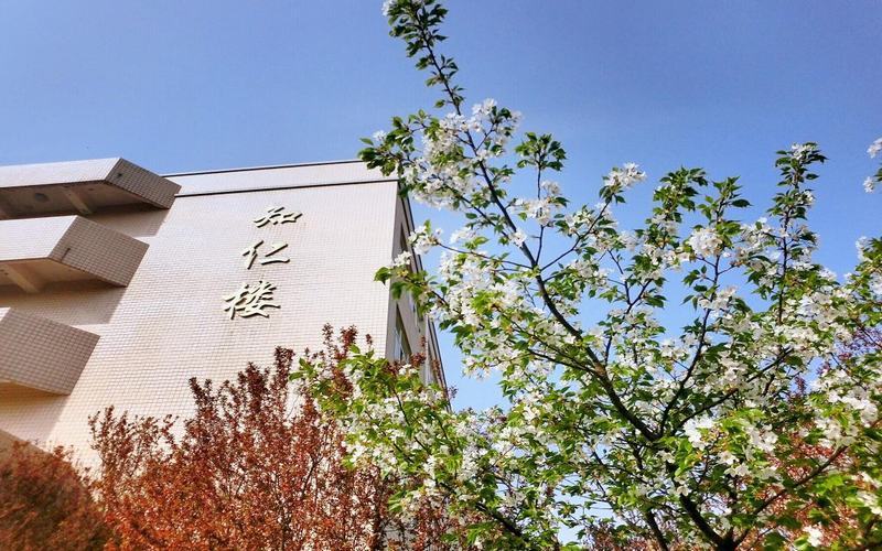 【2023高考参考】西安财经大学行知学院2022年黑龙江招生专业及招生计划一览表