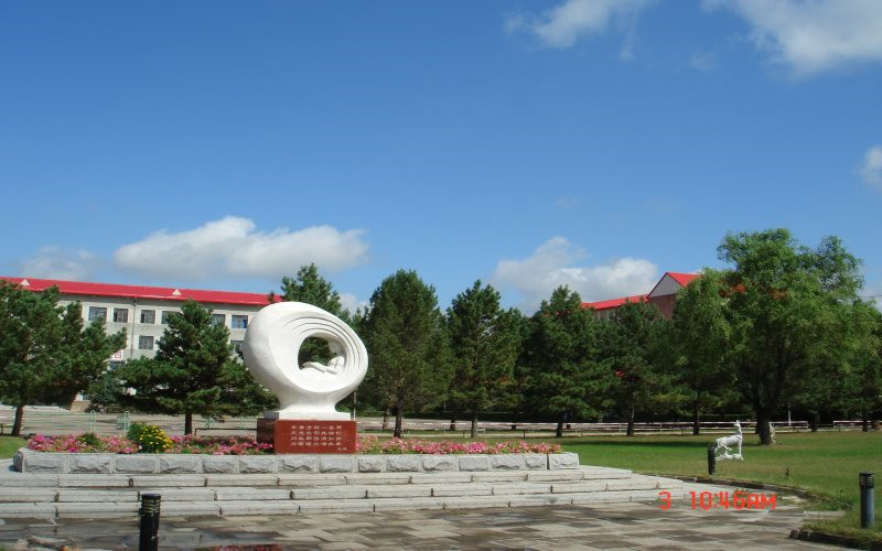 2023年大庆职业学院在内蒙古录取批次及录取分数参考