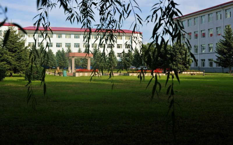 2023年大庆职业学院在贵州招生专业及招生人数汇总(2024考生参考)