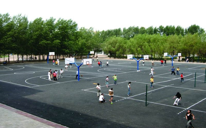 2024考生参考：2023黑龙江旅游职业技术学院大数据技术专业在辽宁招生录取分数及录取位次