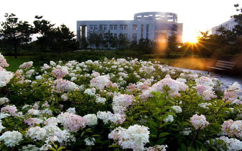 黑龙江农垦科技职业学院园林技术专业录取分数线【黑龙江高考理科】