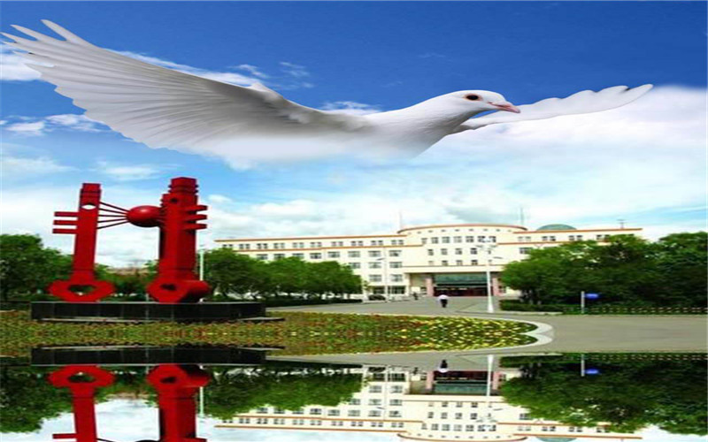2023年黑河学院在黑龙江招生专业及招生人数汇总