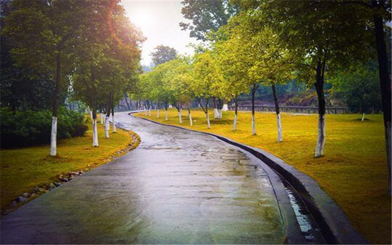 2023年内蒙古考生多少分可以上重庆大学工商管理类（国家专项计划）专业？