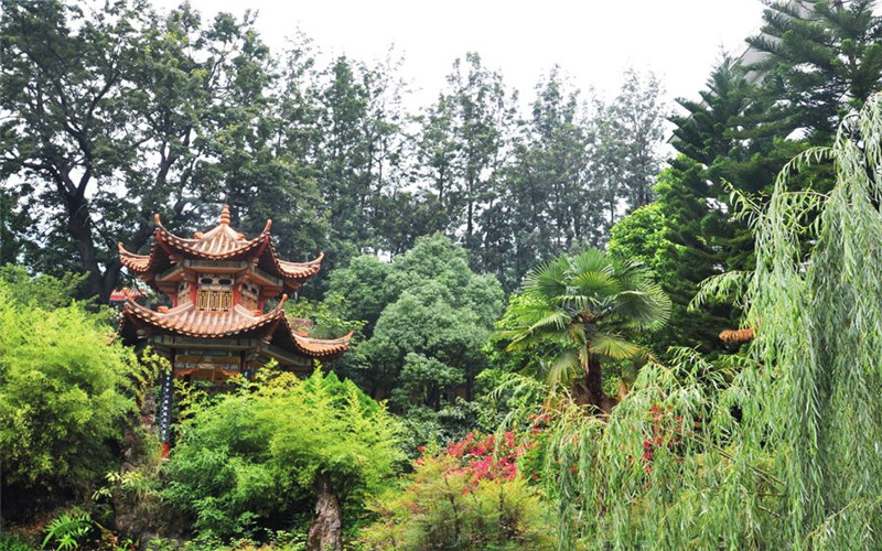 ★西昌学院2022福建招生计划_西昌学院2022福建招生专业及招生人数汇总