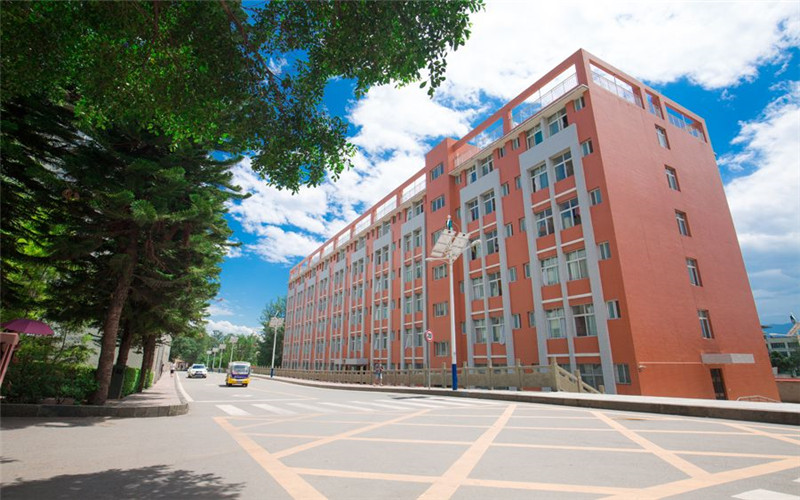 2023年西昌学院在广西招生专业及招生人数汇总