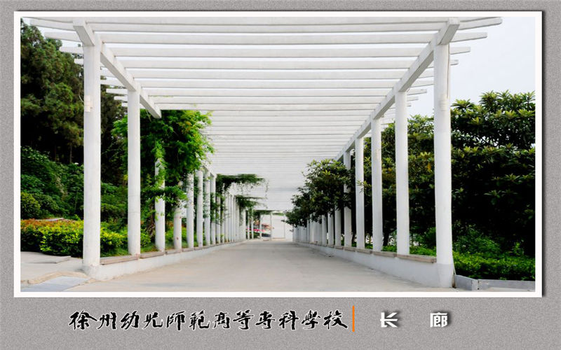 2023年徐州幼儿师范高等专科学校在贵州招生专业及招生人数汇总