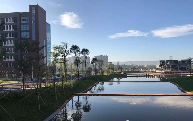 广东酒店管理职业技术学院酒店管理与数字化运营专业录取分数线【黑龙江高考文科】