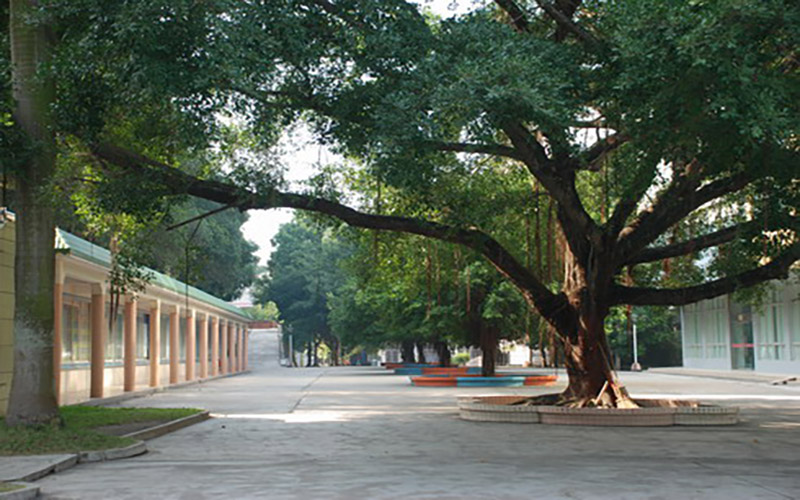 ★湛江幼儿师范专科学校2022河北招生计划_湛江幼儿师范专科学校2022河北招生专业及招生人数汇总