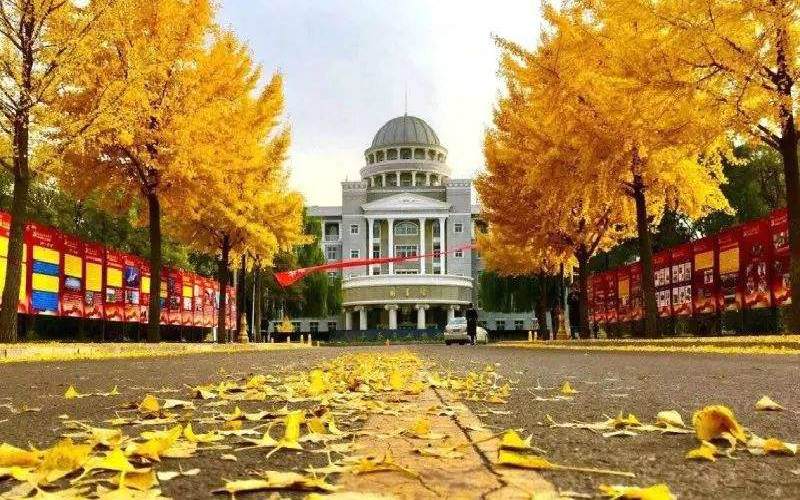 太原科技大学华科学院计算机科学与技术专业在广东招生录取分数(物理类)：505分