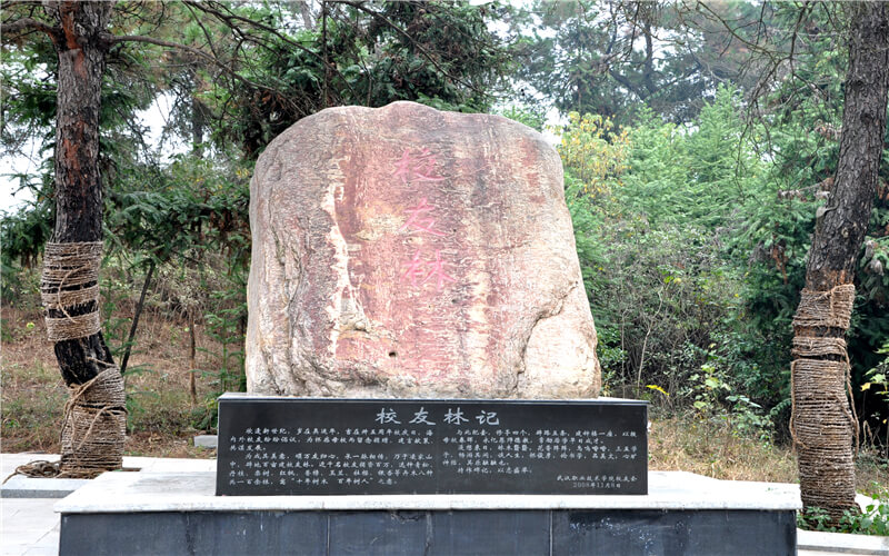 武汉职业技术学院生物制药技术专业在山东招生录取分数(综合)：453分