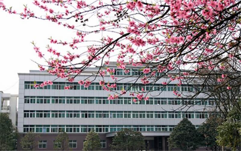 2023年恩施职业技术学院在广东招生专业及招生人数汇总