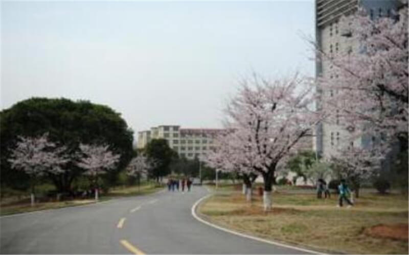 2023年湖北第二师范学院在贵州招生专业及招生人数汇总