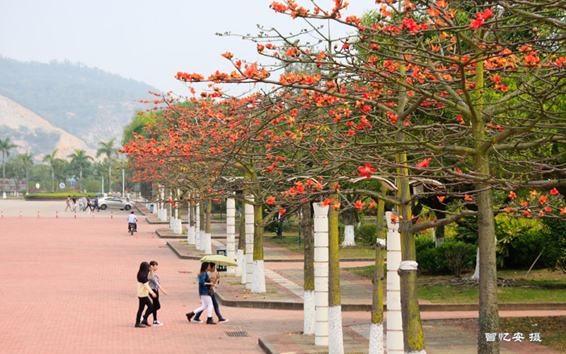 2024考生参考：2023广东科学技术职业学院空中乘务专业在辽宁招生录取分数及录取位次