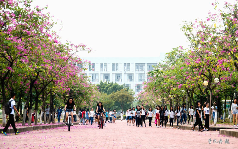 广东科学技术职业学院2021年在福建省招生专业及各专业招生计划人数