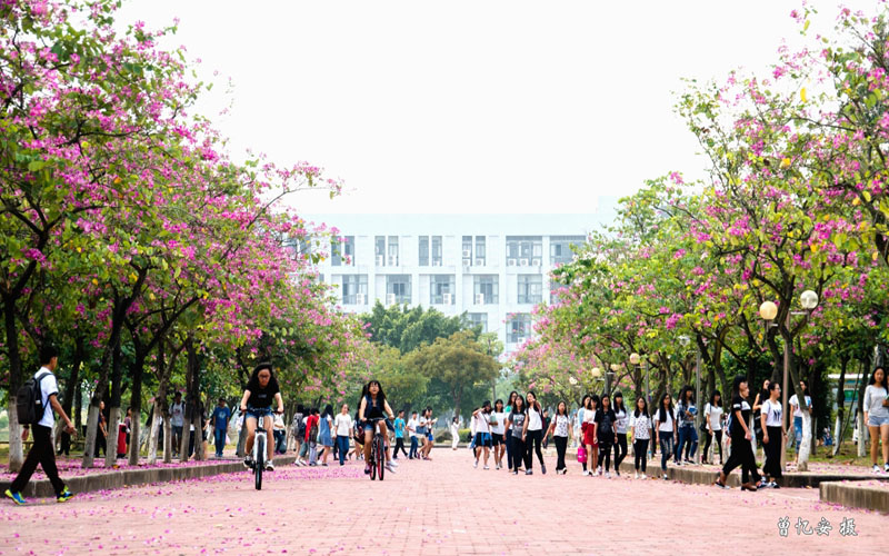 【2023高考参考】广东科学技术职业学院2022年宁夏招生专业及招生计划一览表