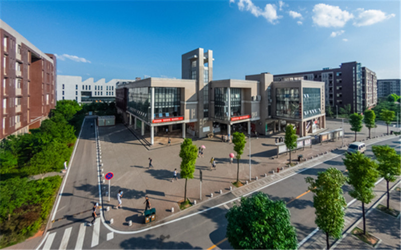 湖南铁路科技职业技术学院铁道机车运用与维护专业录取分数线【河北高考物理类】