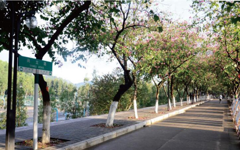 多少分可以上广东培正学院？广东培正学院2021年在河南各专业录取分数线
