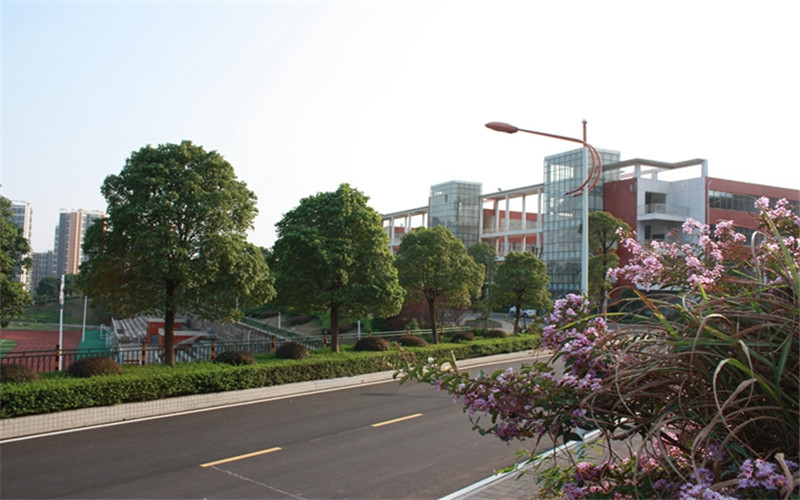 2023年长沙南方职业学院在重庆招生专业及招生人数汇总(2024考生参考)