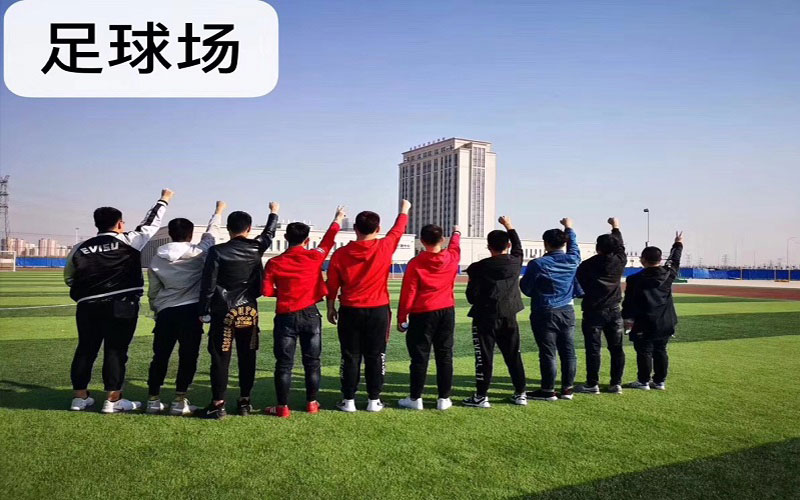 2024年天津滨海汽车工程职业学院汽车技术服务与营销专业在辽宁录取分数线参考