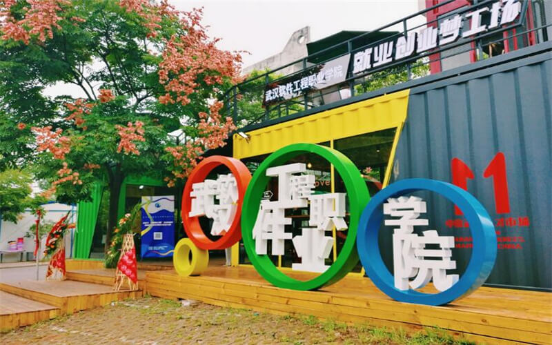 2024考生参考：2023武汉软件工程职业学院软件技术专业在重庆招生录取分数及录取位次