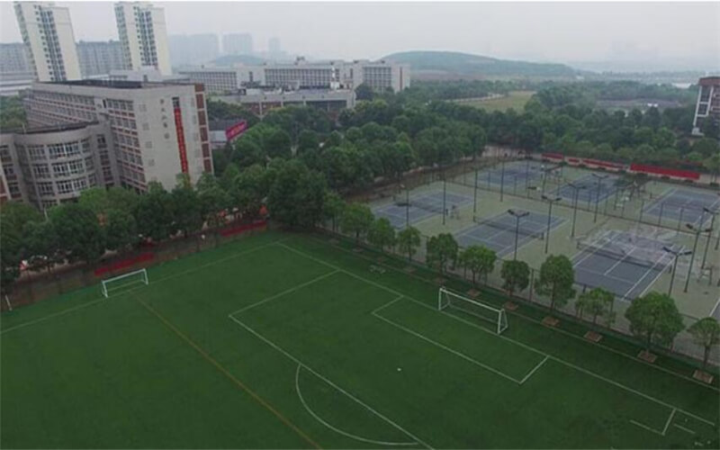 2023年武汉体育学院体育科技学院在广东招生专业及招生人数汇总