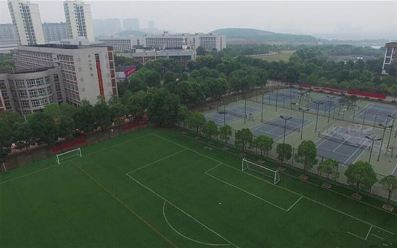 2022年武汉体育学院体育科技学院在河南招生专业及招生人数汇总（2023考生参考）