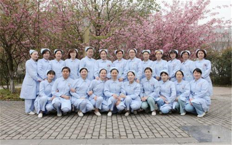 2023年大理护理职业学院在四川招生专业有哪些？学费是多少？