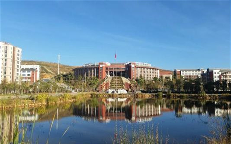 【2023高考参考】大理护理职业学院2022年四川招生专业及招生计划一览表
