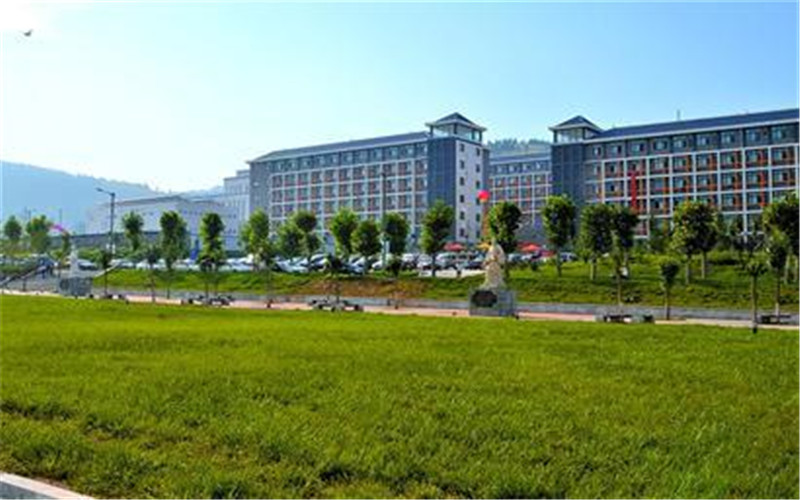 多少分可以上大理护理职业学院？大理护理职业学院2021年在贵州各专业录取分数线