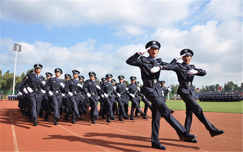 2022年云南司法警官职业学院在四川招生专业及招生人数汇总（2023考生参考）